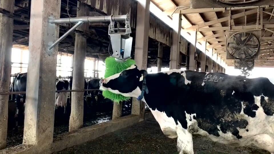 Smart Stainless Steel Cattle Brush